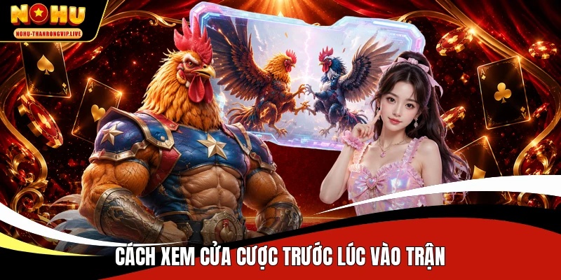 Cách xem cửa cược trước lúc vào trận